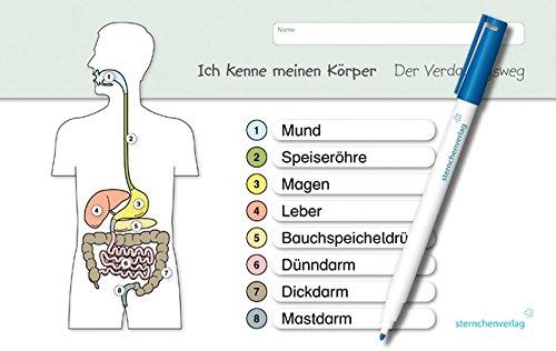 Ich kenne meinen Körper - Der Verdauungsweg: Für die 3. bis 6. Klasse - Stabile wiederbeschreibbare Lernvorlage im A5+ Format (Vorder- und Rückseite) ... - trocken abwischbar ohne zu schmieren