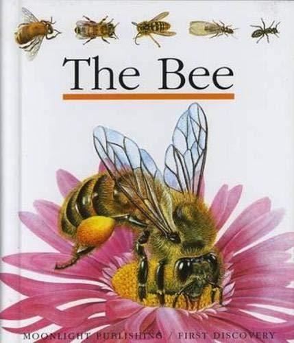 The Bee (First Discovery Series)