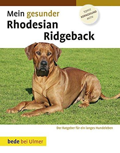 Mein gesunder Rhodesian Ridgeback