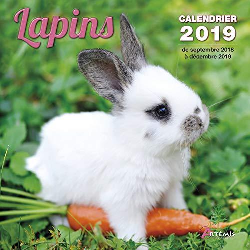 Lapins : calendrier 2019 : de septembre 2018 à décembre 2019