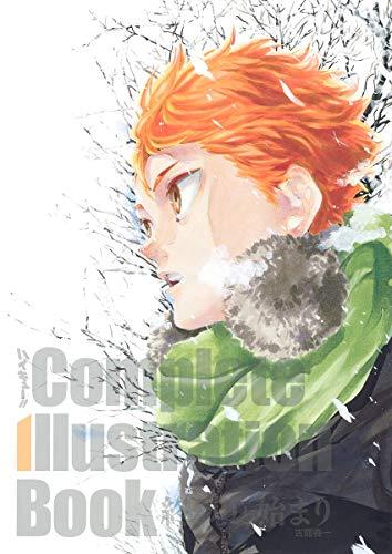 HAIKYU !! COMPLETE ILLUSTRATION BOOK (ARTBOOK VO JAPONAIS)