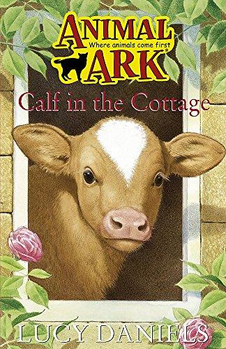 Calf In The Cottage (Animal Ark, Band 230)