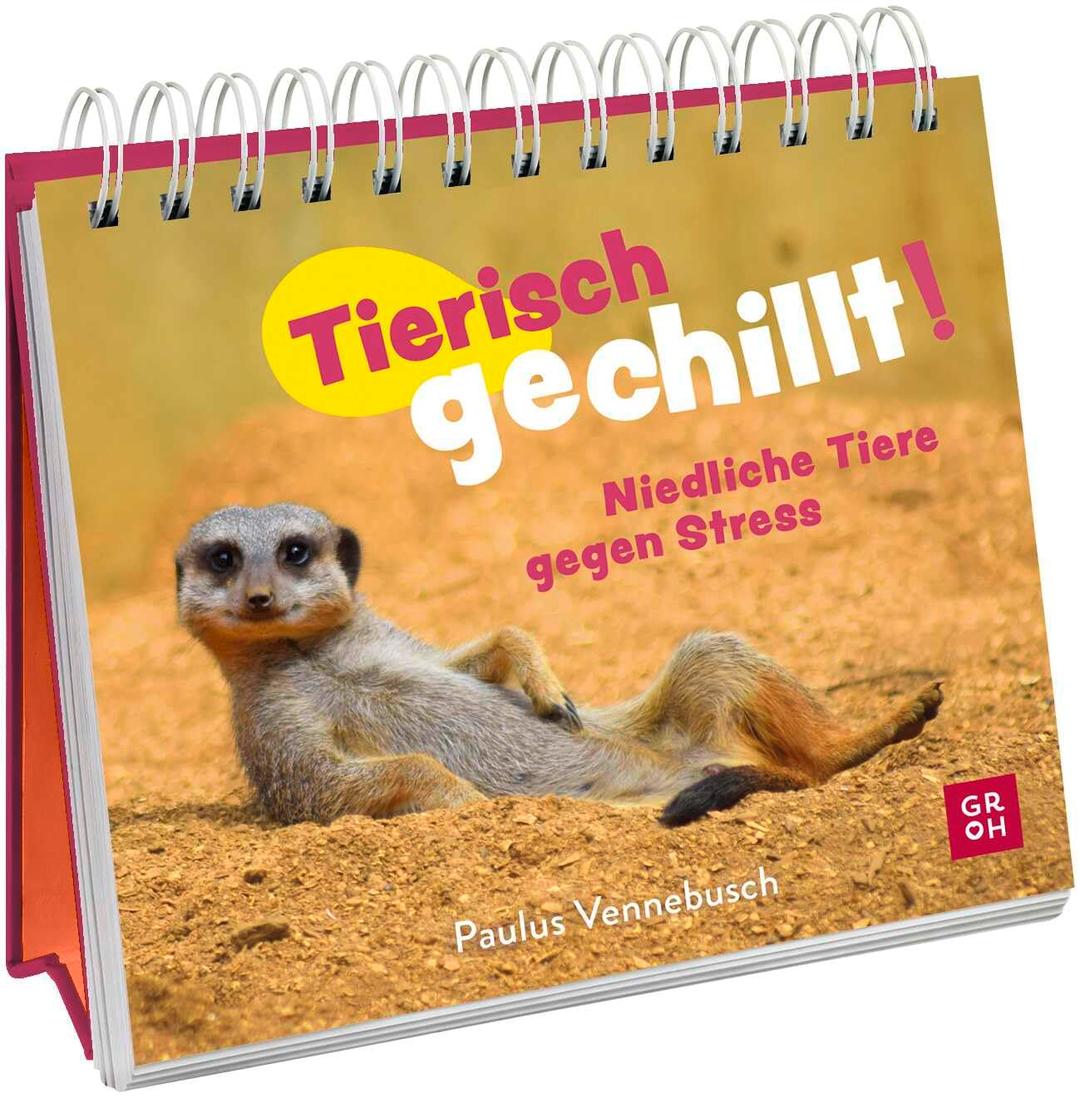 Tierisch gechillt!: Niedliche Tiere gegen Stress | Gute Laune Sprüche gepaart mit süßen Tierfotos | Lustiges anti-Stress-Geschenk für Freunde und Kollegen