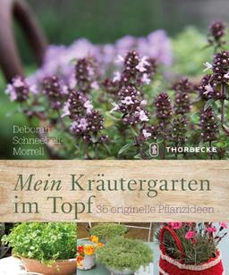 Mein Kräutergarten im Topf: 35 originelle Pflanzideen