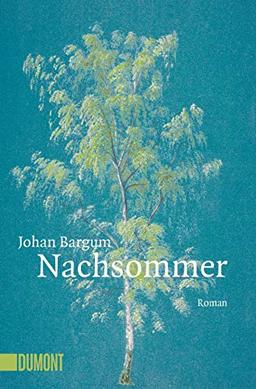 Nachsommer: Roman