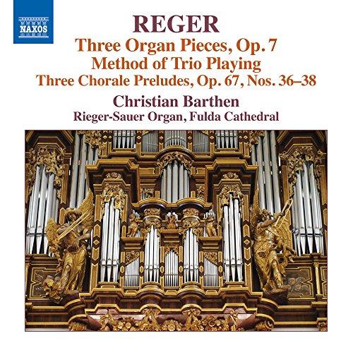 Reger: Orgelwerke Vol. 16