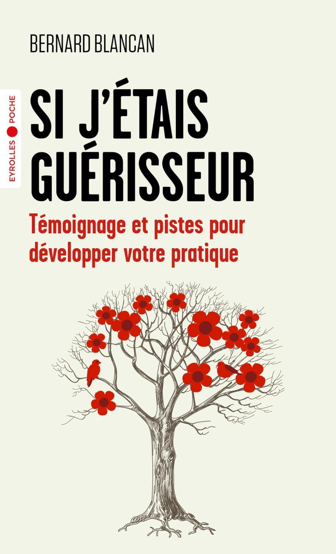 Si j'étais guérisseur : témoignages et pistes pour développer votre pratique