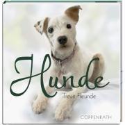 Hunde - Treue Freunde. BelLibri