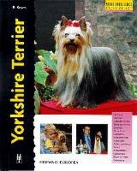 Yorkshire terrier (Excellence)