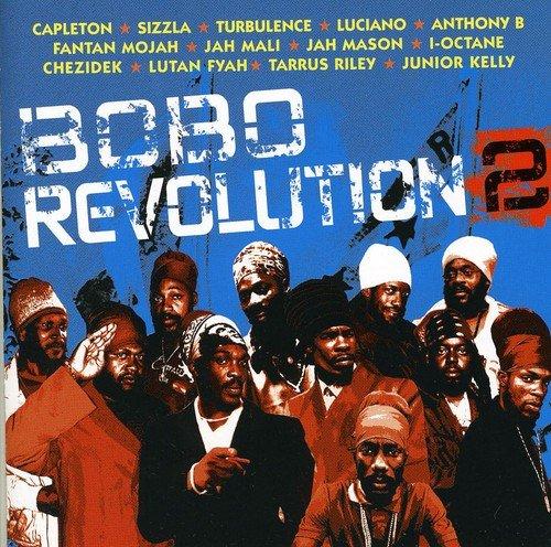 Bobo Revolution Vol.2