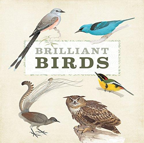 Brilliant Birds: Marveolous Menagerie