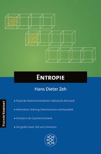 Fischer Kompakt: Entropie