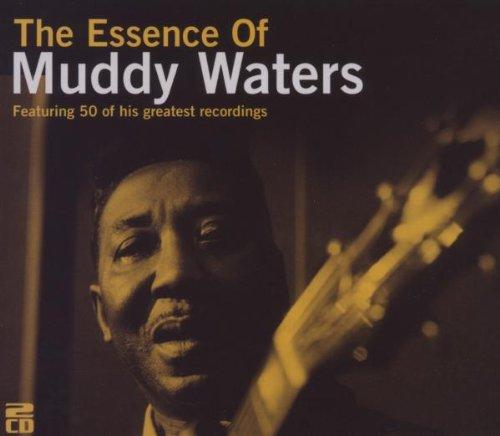 The Essence of Muddy Waters