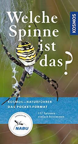 Welche Spinne ist das?: Kosmos Basic (Kosmos-Naturführer Basics)