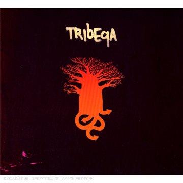 Tribeqa