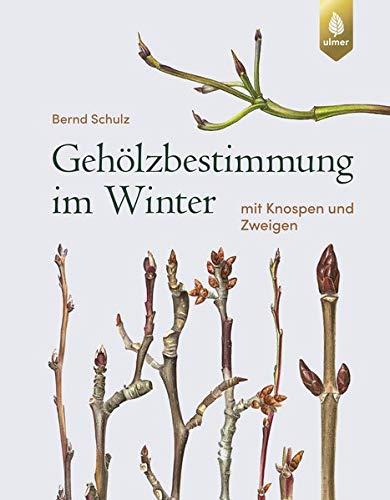 Gehölzbestimmung im Winter: mit Knospen und Zweigen