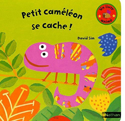 Petit caméléon se cache !