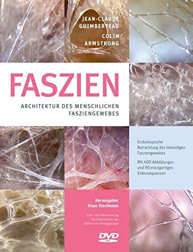 Faszien: Architektur des menschlichen Fasziengewebes