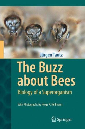 The Buzz about Bees: Biology of a Superorganism