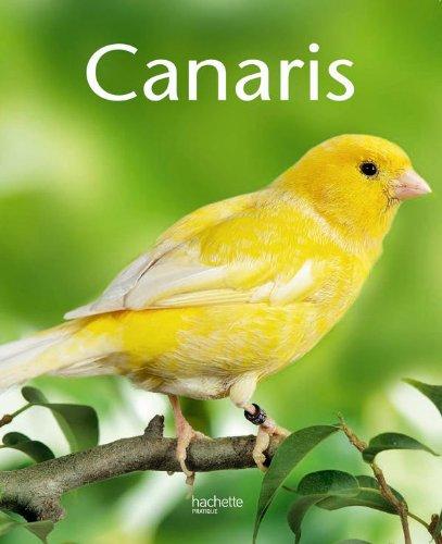 Canaris