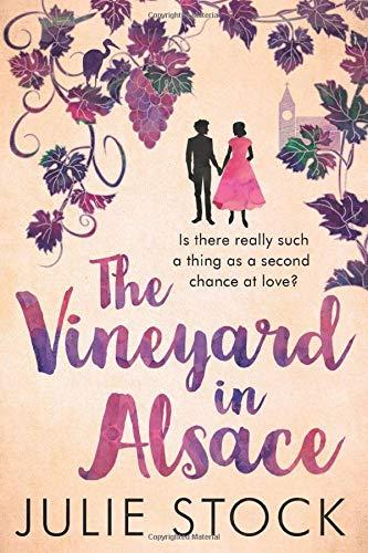 The Vineyard in Alsace (Domaine des Montagnes, Band 1)