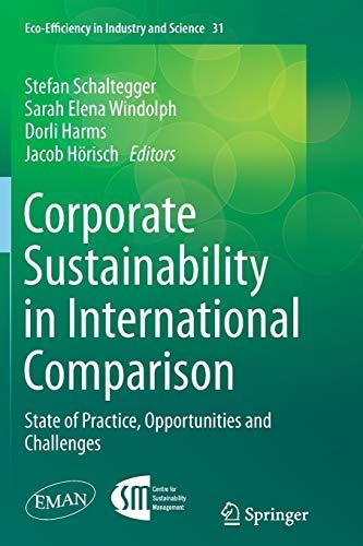 Corporate Sustainability in International Comparison: State of Practice, Opportunities and Challenges (Eco-Efficiency in Industry and Science, Band 31)