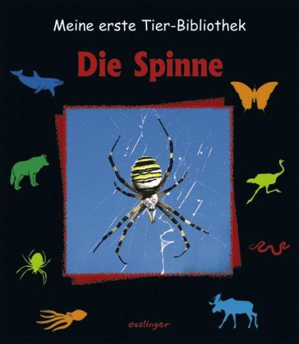 Meine erste Tier-Bibliothek : Die Spinne