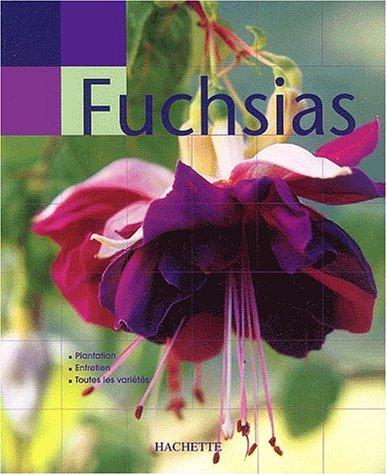 Fuchsias