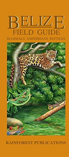 Mammals, Amphibians and Reptiles (Belize Field Guides S.)