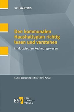 Den kommunalen Haushaltsplan richtig lesen und verstehen: im doppischen Rechnungswesen