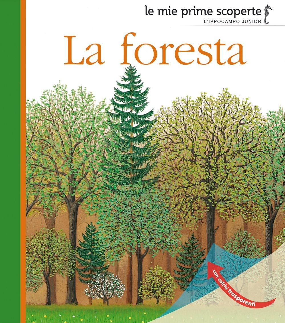 La foresta (Le mie prime scoperte)