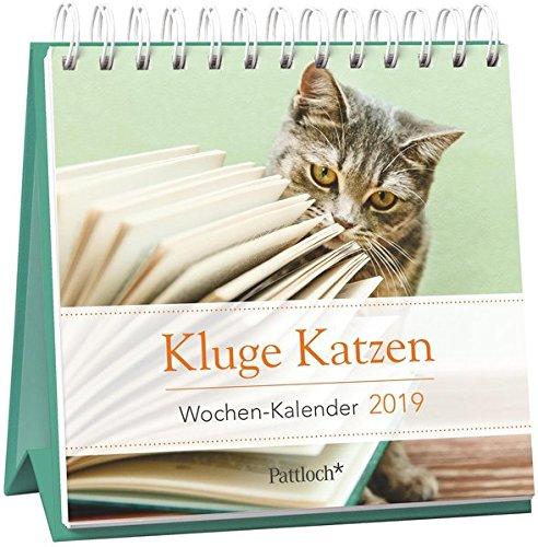 Kluge Katzen - Mini-Kalender 2019: Wochenkalender zum Aufstellen m. Fotos u. Zitaten, Spiralbindung, 10,5 x 10,5 cm