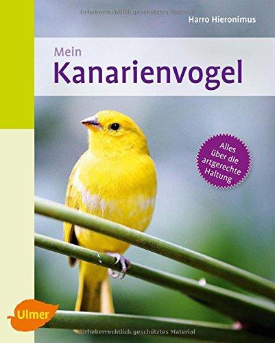 Mein Kanarienvogel zu Hause