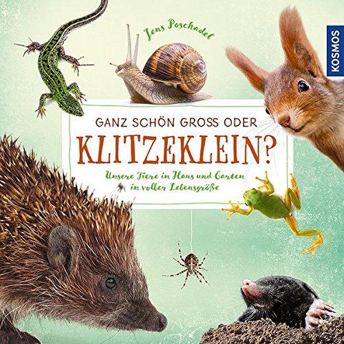 Ganz schön groß oder klitzeklein?: Unsere Tiere in Haus und Garten in voller Lebensgröße