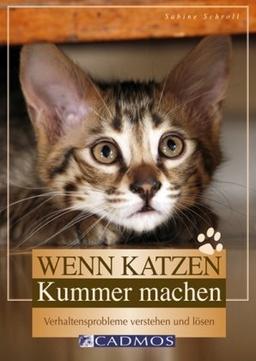 Wenn Katzen Kummer machen: Verhaltensprobleme verstehen und lösen