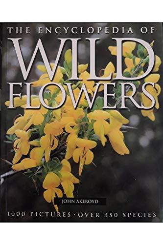 Wild Flowers