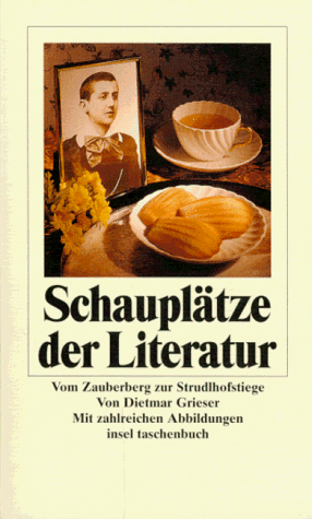 Schauplätze der Literatur. Vom Zauberberg zur Strudlhofstiege.