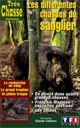 Les differentes chasses du sanglier