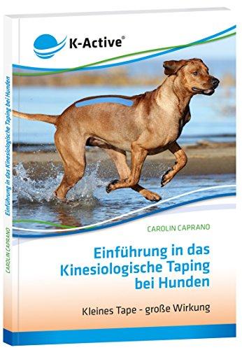 Einführung in das Kinesiologische Taping bei Hunden: Kleines Tape - große Wirkung