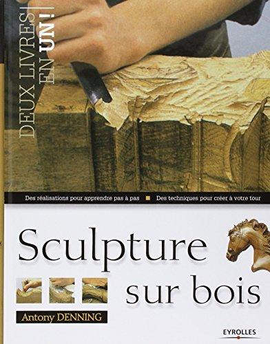 Sculpture sur bois : des réalisations pour apprendre pas à pas, des techniques pour créer à votre tour