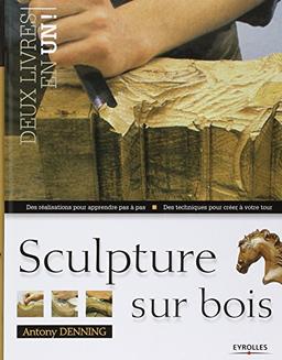 Sculpture sur bois : des réalisations pour apprendre pas à pas, des techniques pour créer à votre tour