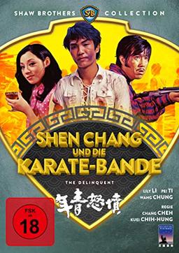 Shen Chang und die Karate-Bande (Shaw Brothers Collection)