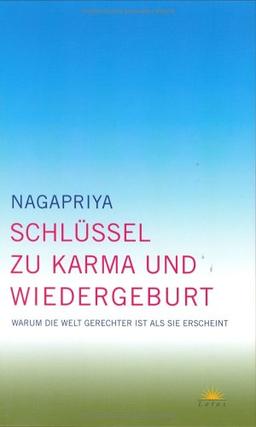 Schlüssel zu Karma und Reinkarnation. Warum die Welt gerechter ist als sie scheint