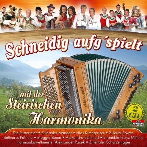 Schneidig aufspielt mit der Steirischen Harmonika