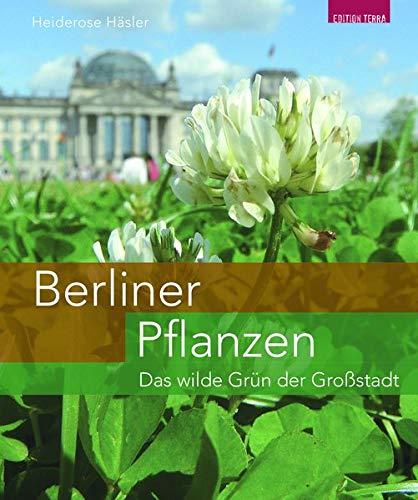 Berliner Pflanzen: Das wilde Grün der Großstadt