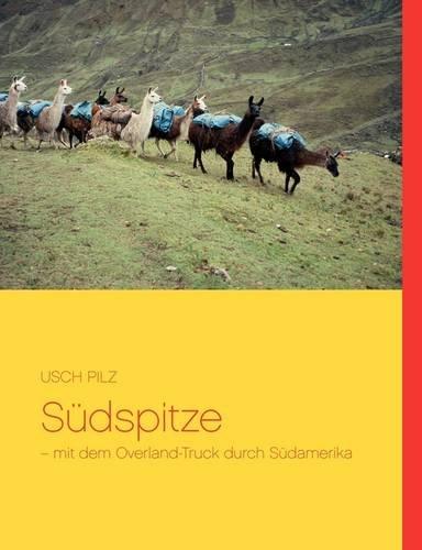 Südspitze: mit dem Overland-Truck durch Südamerika