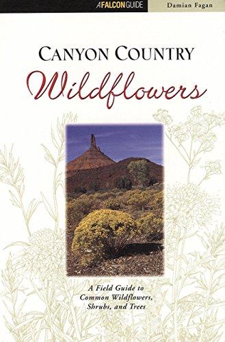 Canyon Country Wildflowers: Including Arches and Canyonlands National Parks (A Falcon Guide)