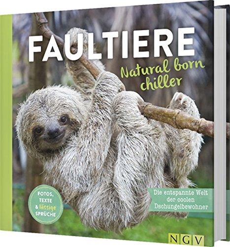 Faultiere-Natural born chiller: Die entspannte Welt der coolen Dschungelbewohner