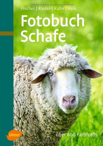 Fotobuch Schafe