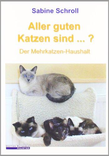 Aller guten Katzen sind...? Der Mehrkatzen-Haushalt